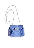 Luxury python evening bag