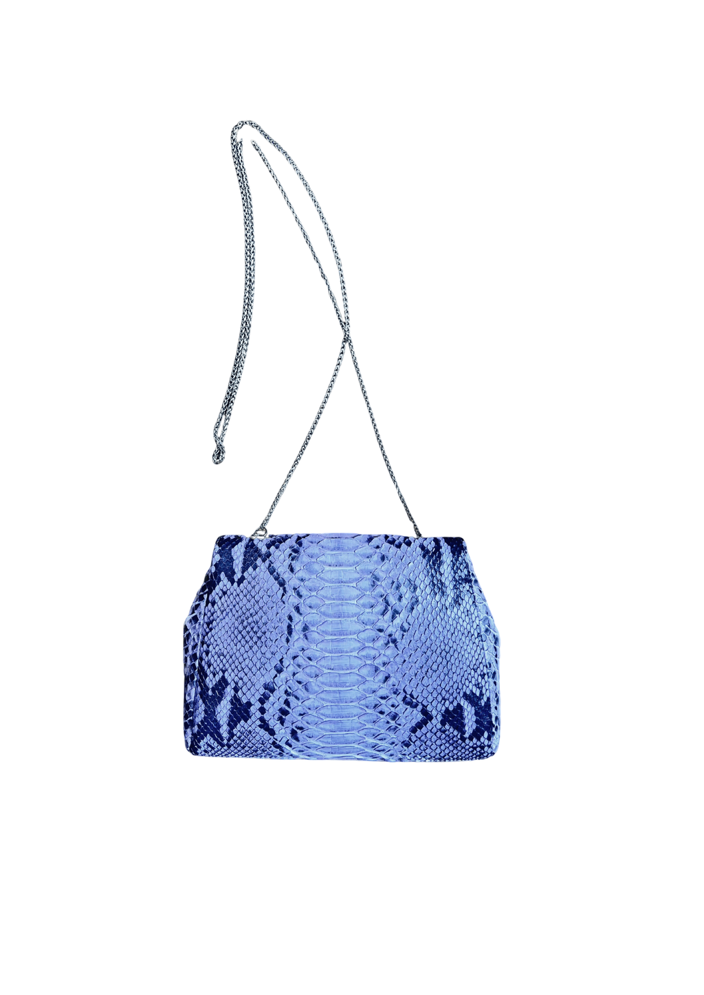 Luxury python evening bag