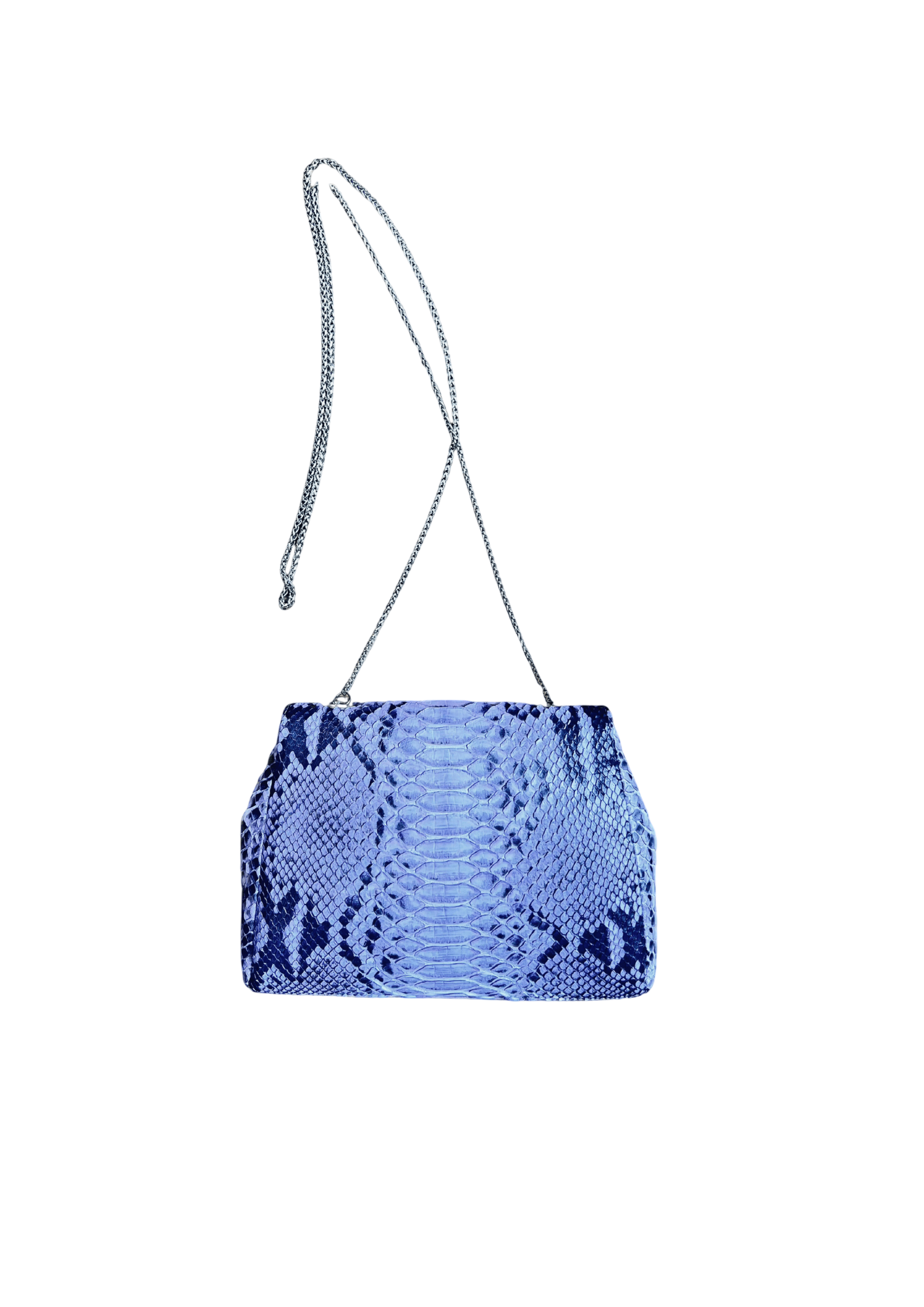 Luxury python evening bag