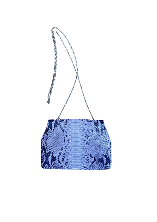 Luxury python evening bag