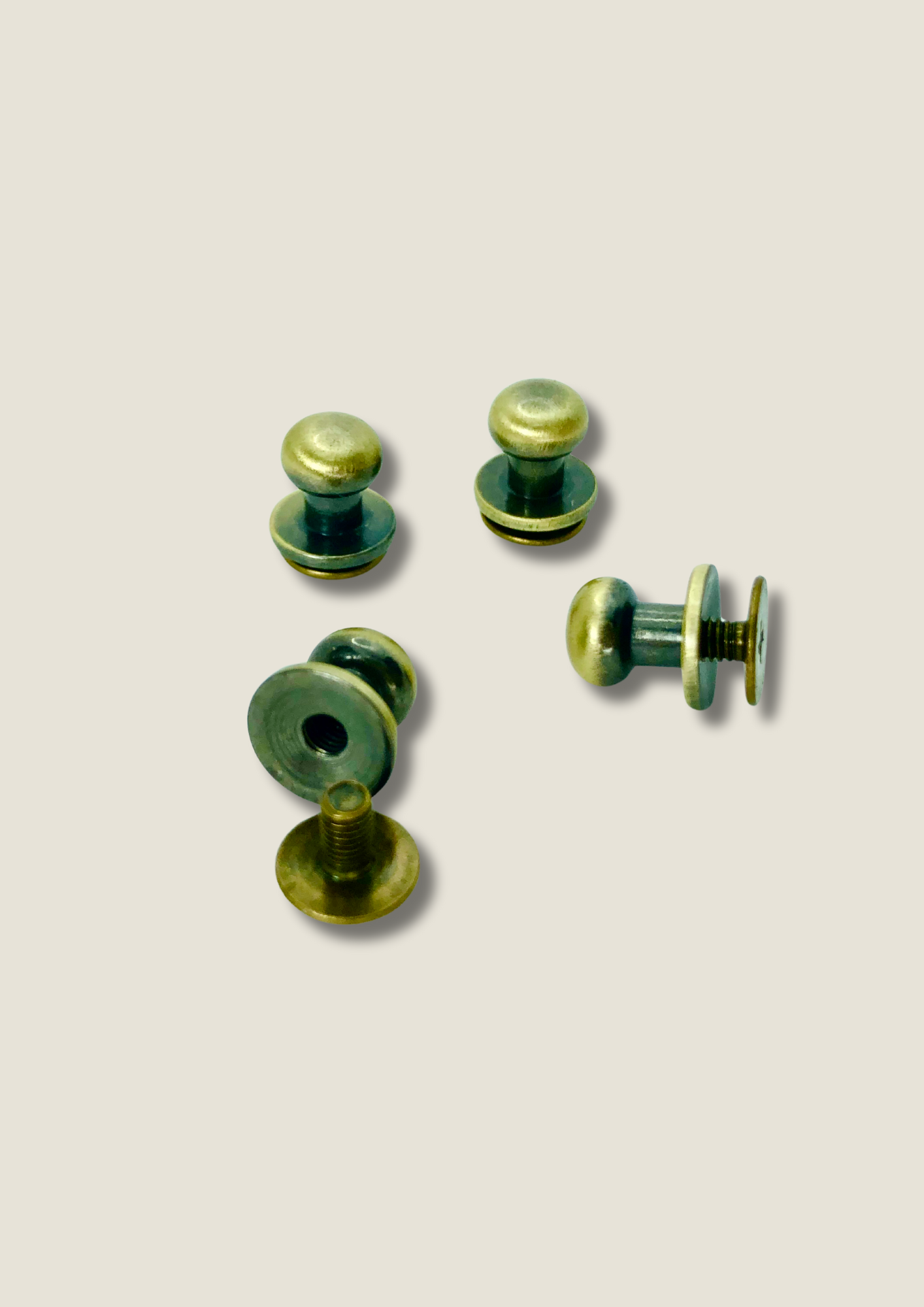 Sam Browne screw in studs Screw Malusha Shop.