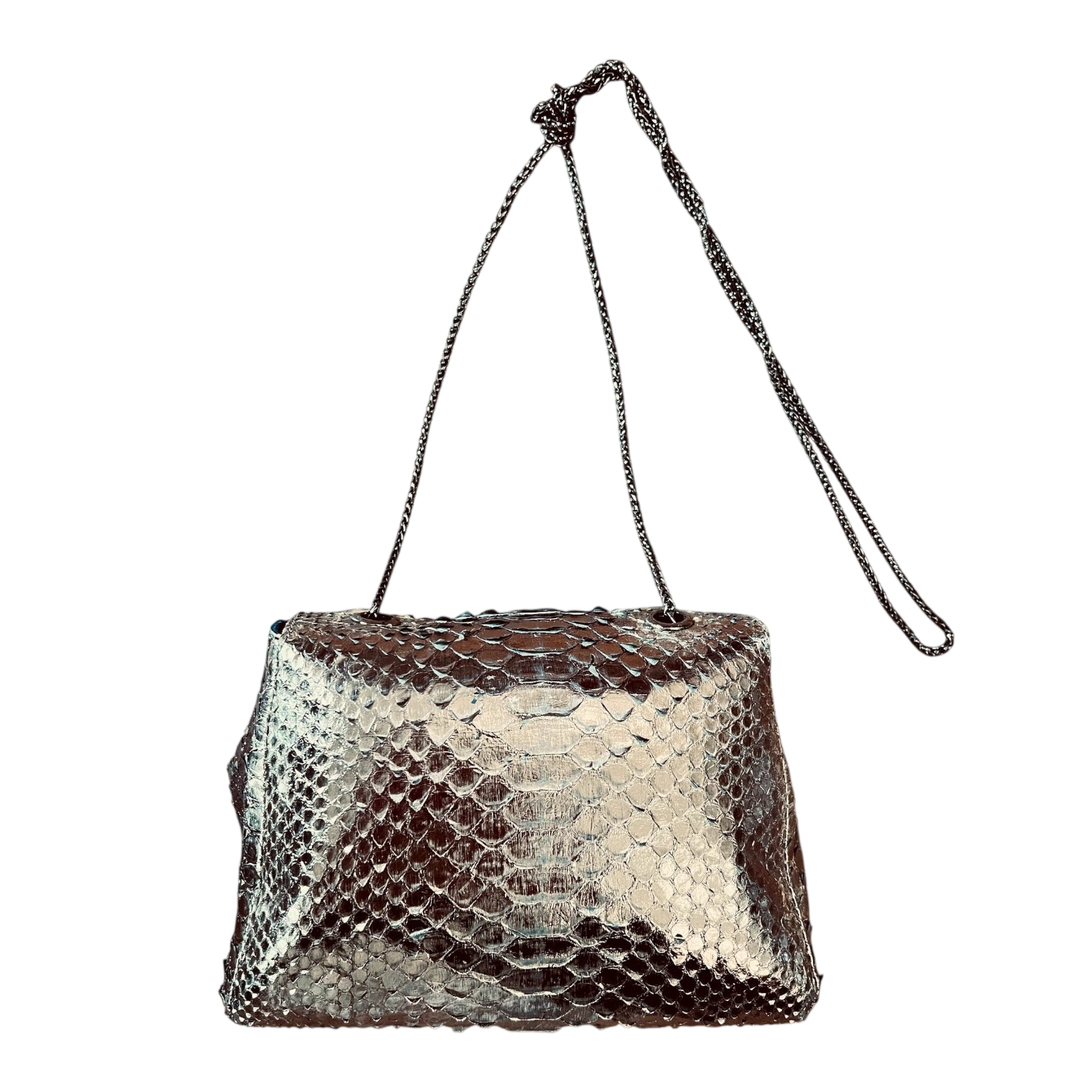 Luxury python evening bag
